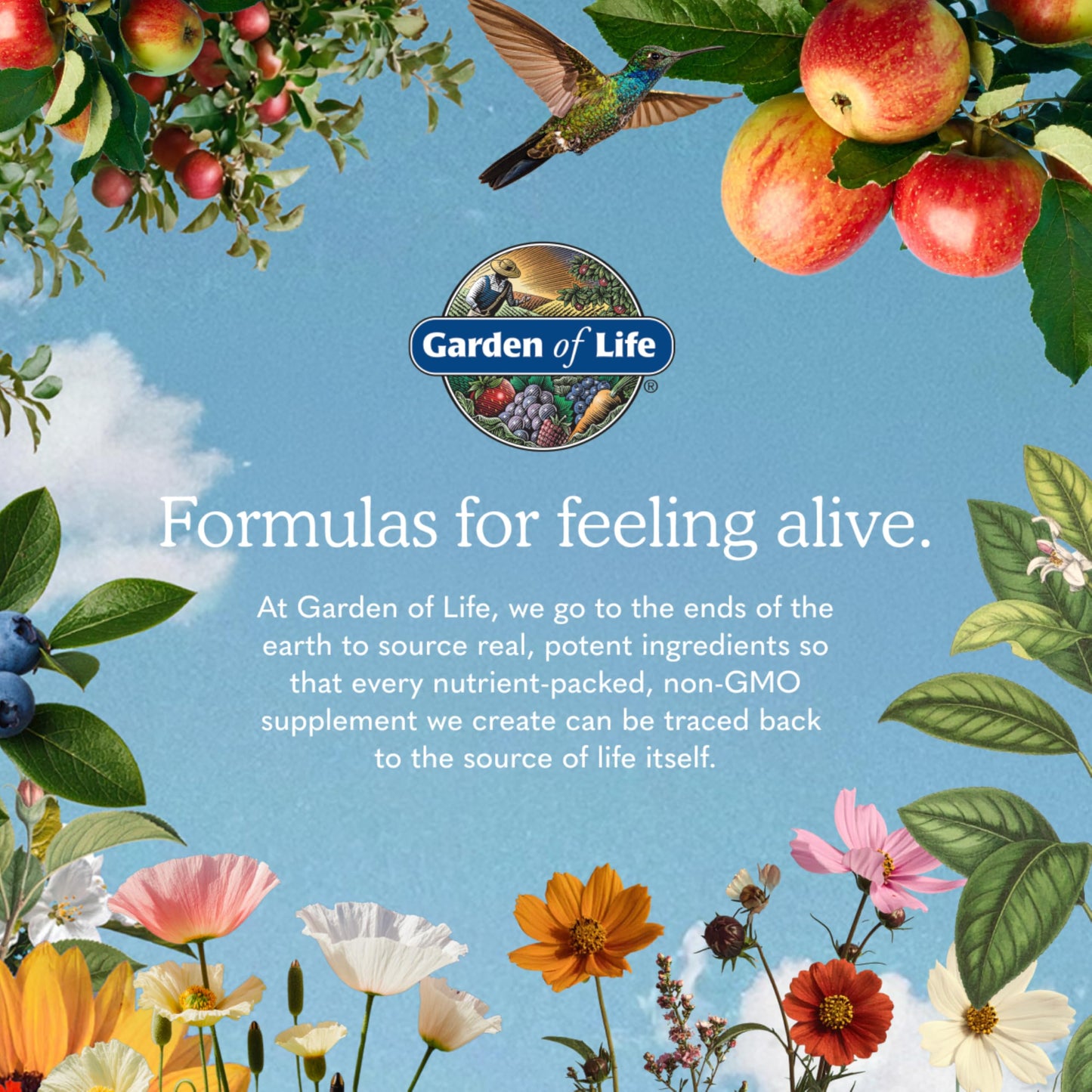 Garden of Life Once Daily Whole Food Multivitamin, Vitamins & Minerals, Vitamin C, Zinc, Vegan, for Health & Well-Being