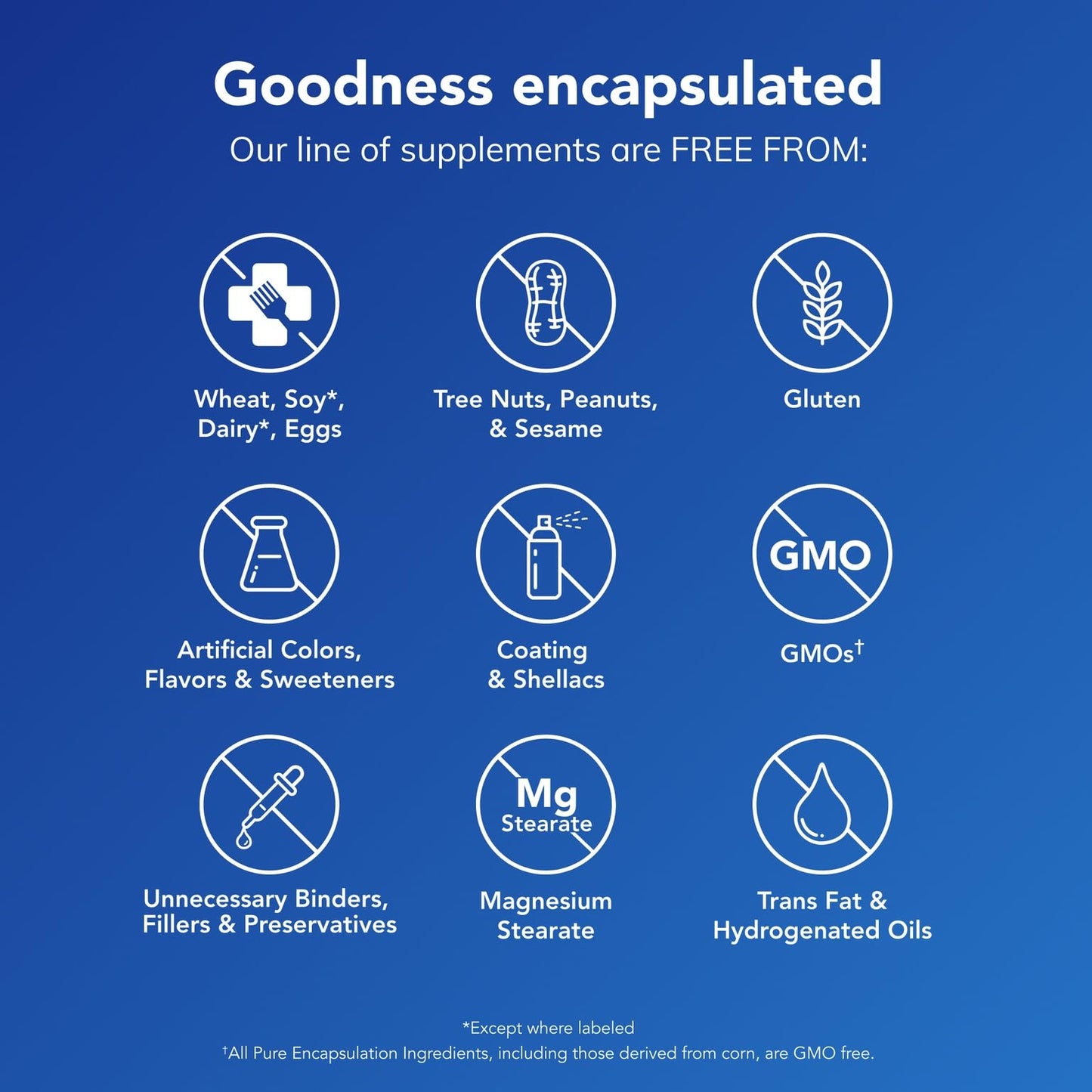 Pure Encapsulations MotilPro |Promote Healthy Gut Motility*