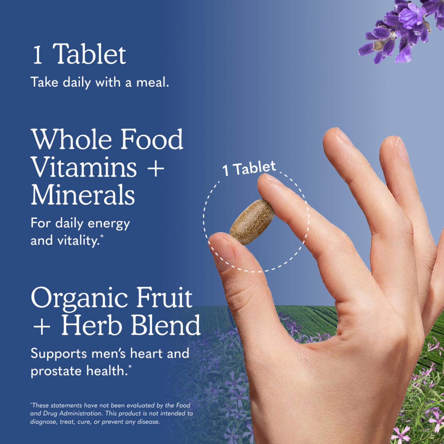 Garden of Life Once Daily Whole Food Multivitamin, Vitamins & Minerals, Vitamin C, Zinc, Vegan, for Health & Well-Being