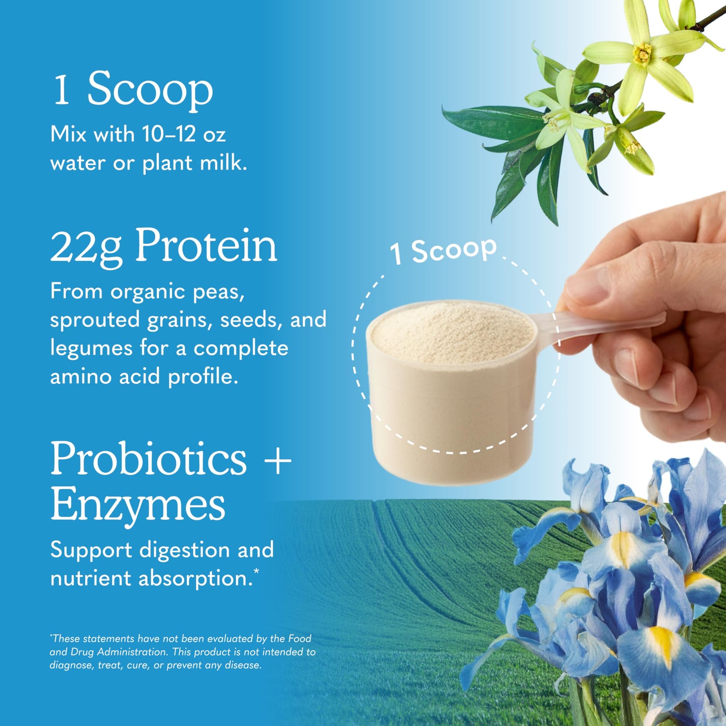 Garden of Life, Protein Powder, Vegan Protein Powder, Bcaa, Probiotics and Digestive Enzymes, Gluten and Lactose Free