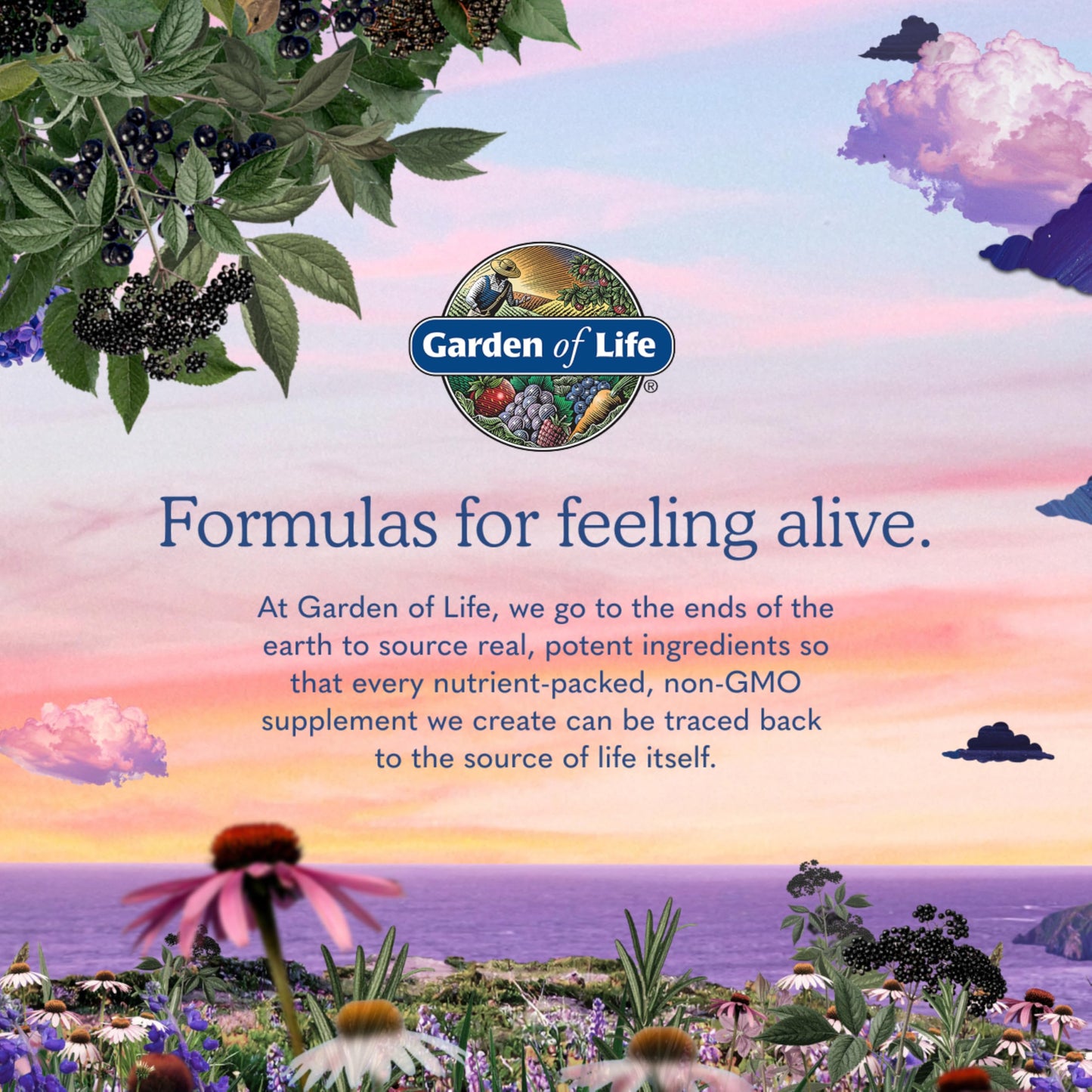 Garden of Life Once Daily Dr. Formulated Probiotics for Women 50 Billion CFU 16 Probiotic Strains with Organic Prebiotics for Digestive, Vaginal & Immune Health, Dairy Free