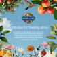 Garden of Life, Protein Powder, Vegan Protein Powder, Bcaa, Probiotics and Digestive Enzymes, Gluten and Lactose Free